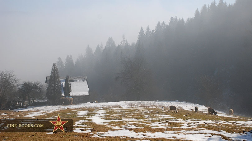 The amazing scenery, delicious pancakes, and a mischievous Malamute: how we shot “To Build a Fire.” 